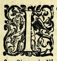An illustration from L'vso del la sqvadra mobile. Con la qvale per teorica et per pratica si misura geometricamente ogni distanza, altezza, e profondità, s'impara a perticare, liuellare, et piglare in disegno le città, paesi, et prouincie. Il tutto con le sue dimostrationi intagliate in rame (1598)