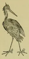 Picture 3 of 12 from Lyon à l'Exposition universelle de 1889 (1890), leaf 115