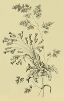 An illustration from Lyon à l'Exposition universelle de 1889 (1890)