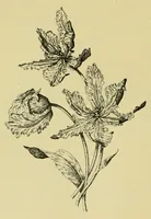 An illustration from Lyon à l'Exposition universelle de 1889 (1890)