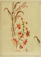 An illustration from Lyon à l'Exposition universelle de 1889 (1890)
