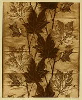 An illustration from Lyon à l'Exposition universelle de 1889 (1890)