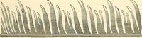 An illustration from Machinery and processes of the industrial arts, and apparatus of the exact sciences (1869)