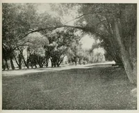 Picture 6 of 12 from Madison, "the four lake city," recreational survey.. (1915), leaf 43