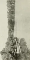 An illustration from Madrid : an historical description and handbook of the Spanish Capital (1909)