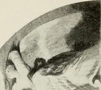 An illustration from Madrid : an historical description and handbook of the Spanish Capital (1909)