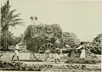 An illustration from Madrid : an historical description and handbook of the Spanish Capital (1909)