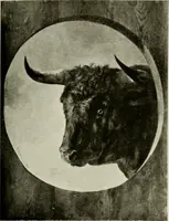 An illustration from Madrid : an historical description and handbook of the Spanish Capital (1909)