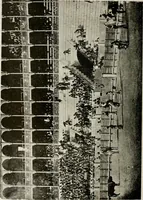An illustration from Madrid : an historical description and handbook of the Spanish Capital (1909)