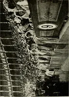 An illustration from Madrid : an historical description and handbook of the Spanish Capital (1909)
