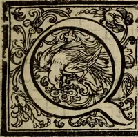 Picture 156 of 448 from Madrigali ... a cinqve voci. Libro primo[-sesto] .. (1611), leaf 164