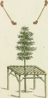 An illustration from Magazijn van tuin-sieraaden, of, Verzameling van modellen van aanleg en sieraad, voor groote en kleine lust-hoven, voorn amelijk van dezulke die, met weinig kosten, te maaken zijn (1802)