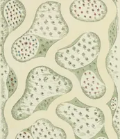 Picture 14 of 14 from Magazijn van tuin-sieraaden, of, Verzameling van modellen van aanleg en sieraad, voor groote en kleine lust-hoven, voorn amelijk van dezulke die, met weinig kosten, te maaken zijn (1802), leaf 20
