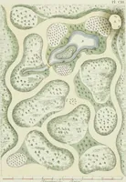 An illustration from Magazijn van tuin-sieraaden, of, Verzameling van modellen van aanleg en sieraad, voor groote en kleine lust-hoven, voorn amelijk van dezulke die, met weinig kosten, te maaken zijn (1802)