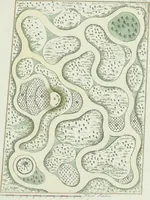 An illustration from Magazijn van tuin-sieraaden, of, Verzameling van modellen van aanleg en sieraad, voor groote en kleine lust-hoven, voorn amelijk van dezulke die, met weinig kosten, te maaken zijn (1802)