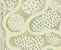 An illustration from Magazijn van tuin-sieraaden, of, Verzameling van modellen van aanleg en sieraad, voor groote en kleine lust-hoven, voorn amelijk van dezulke die, met weinig kosten, te maaken zijn (1802)