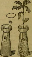 An illustration from The magician's own book, or The whole art of conjuring (1862)