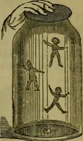 An illustration from The magician's own book, or The whole art of conjuring (1862)
