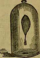 An illustration from The magician's own book, or The whole art of conjuring (1862)
