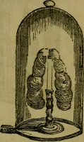 An illustration from The magician's own book, or The whole art of conjuring (1862)