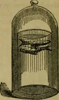 An illustration from The magician's own book, or The whole art of conjuring (1862)