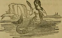 An illustration from The magician's own book, or The whole art of conjuring (1862)