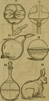 Picture 137 of 186 from The magician's own book, or The whole art of conjuring (1862), leaf 323