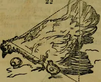 An illustration from The magician's own book, or The whole art of conjuring (1862)