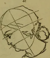 An illustration from The magician's own book, or The whole art of conjuring (1862)