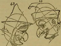 Picture 155 of 186 from The magician's own book, or The whole art of conjuring (1862), leaf 333