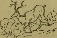 An illustration from The magician's own book, or The whole art of conjuring (1862)