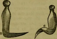 An illustration from The magician's own book, or The whole art of conjuring (1862)