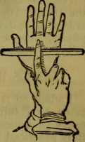 An illustration from The magician's own book, or The whole art of conjuring (1862)