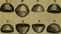 An illustration from The magician's own book, or The whole art of conjuring (1862)