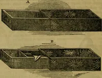 An illustration from The magician's own book, or The whole art of conjuring (1862)