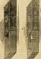 An illustration from Magic, pretended miracles, and remarkable natural phenomena (1855)