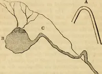 An illustration from Magic, pretended miracles, and remarkable natural phenomena (1855)