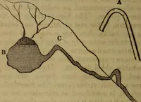An illustration from Magic, pretended miracles, and remarkable natural phenomena (1855)