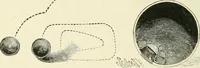 An illustration from Magic; stage illusions and scientific diversions, including trick photography (1897)