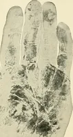 An illustration from Magic; stage illusions and scientific diversions, including trick photography (1897)