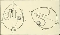 An illustration from Magic; stage illusions and scientific diversions, including trick photography (1897)