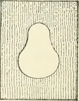 An illustration from Magic; stage illusions and scientific diversions, including trick photography (1897)