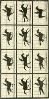 An illustration from Magic; stage illusions and scientific diversions, including trick photography (1897)