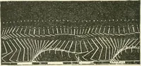 An illustration from Magic; stage illusions and scientific diversions, including trick photography (1897)