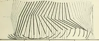 An illustration from Magic; stage illusions and scientific diversions, including trick photography (1897)