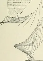 An illustration from Magic; stage illusions and scientific diversions, including trick photography (1897)