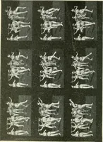 An illustration from Magic; stage illusions and scientific diversions, including trick photography (1897)