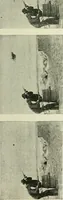 An illustration from Magic; stage illusions and scientific diversions, including trick photography (1897)