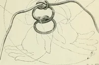 An illustration from Magic; stage illusions and scientific diversions, including trick photography (1897)