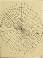 An illustration from Magnetische Kraftfelder : die Erscheinungen des Magnetismus, Elektromagnetismus und der Induktion dargestellt auf Grund des Kraftlinien-Begriffe (1905)